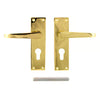 Victorian Lever on Plate Furniture