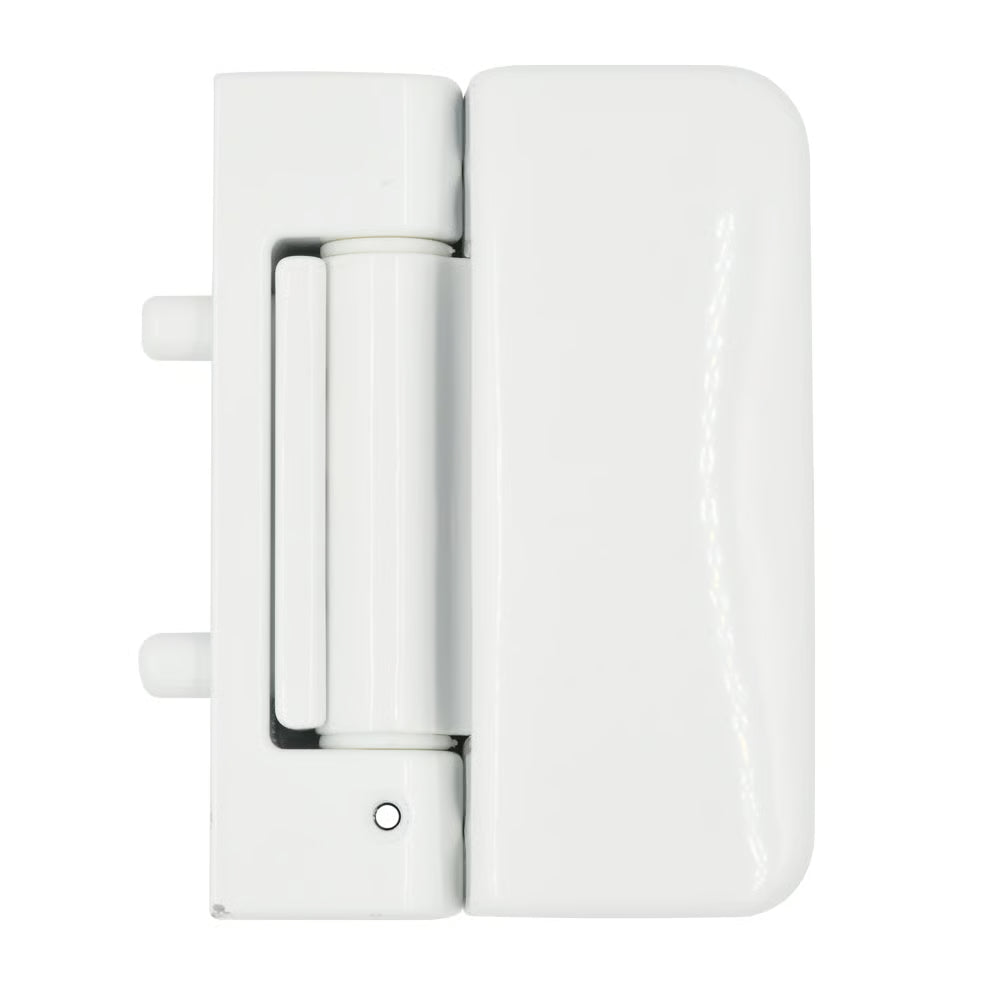 Evolution 3D Security Flag Hinge