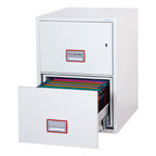 FS2250 Series Fire Files
