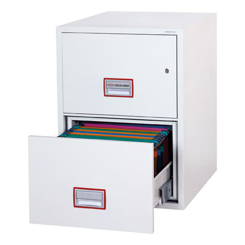 FS2250 Series Fire Files