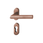 Stainless Steel Handle Set on Rose With Escutcheons