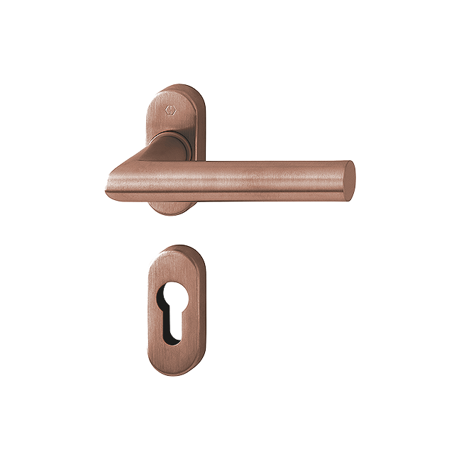 Stainless Steel Handle Set on Rose With Escutcheons