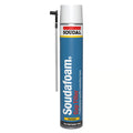 Expanding Foam Gap Filler 750ml