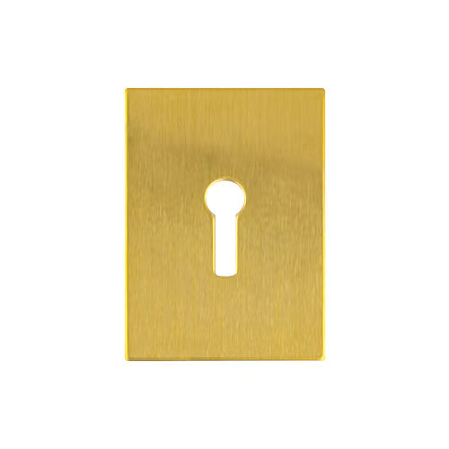 Large UK Stick On Escutcheon