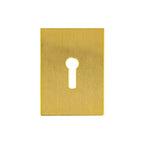 Large UK Stick On Escutcheon