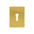 Large UK Stick On Escutcheon