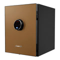 LS6010 Series Luxury Safes
