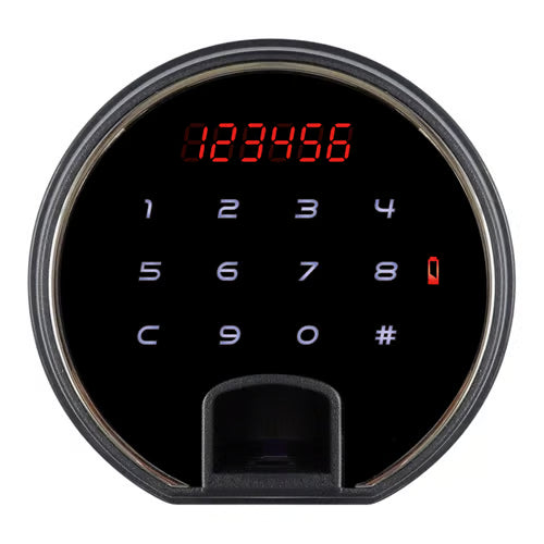 LS6010 Series Luxury Safes