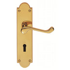 Scroll Lever On Shaped Plate Furniture