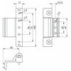 Neon Rebated Adjustable Butt Hinge for UPVC Doors