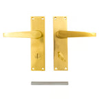 Victorian Lever on Plate Furniture