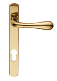 Astro Lever on Euro Lock Narrowplate