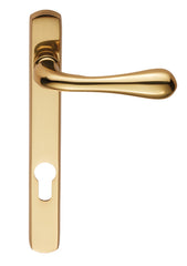 Astro Lever on Euro Lock Narrowplate